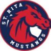 stritamustangs Chicago St. Rita